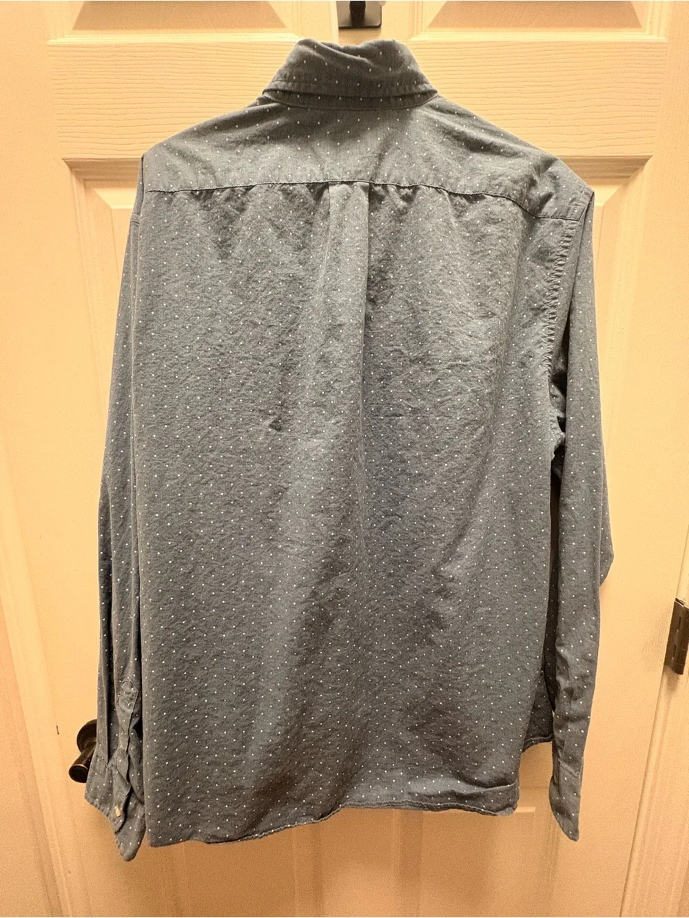 J Crew Blue Dot-Print Button-Down Shirt
